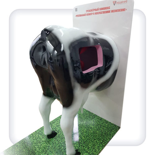 Training simulator - B1002 - SATC solution - rectal examination / veterinary / cattle