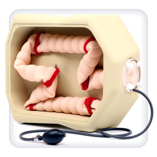 Biopsy simulator - M1118 - SATC solution - for colonoscopy / anatomy / gastro-enterology