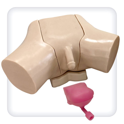Training simulator - M1132 - SATC solution - catheterization / for urological care / man