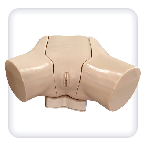 Urinary catheterization simulator - M1114 - SATC solution - for urological care / female / torso