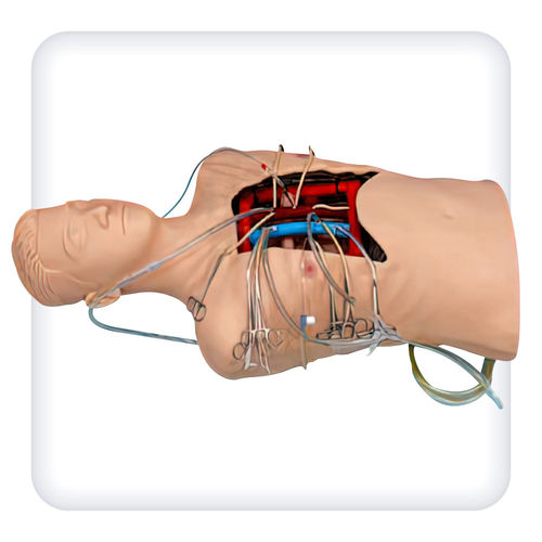 Suture simulator - M1109 - SATC solution - for intravenous cannulation / cardiac surgery / torso