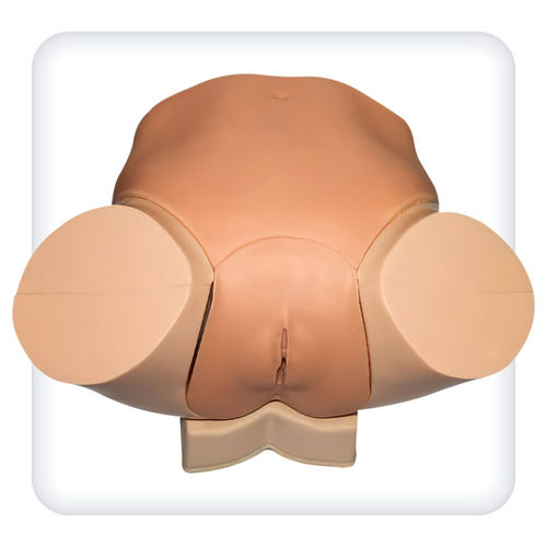 Training simulator - M1142 - SATC solution - catheterization / pelvic examination / laparoscopic