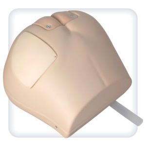 Buttock model - M1006 - SATC solution - gluteal / torso / anal