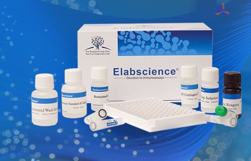 Research test kit - QuicKey Pro™ - Elabscience Biotechnology Inc. - for IL-6 / density / serum