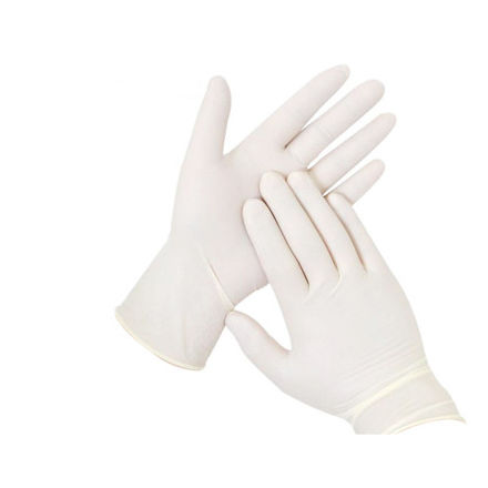 Latex gloves - Tianjin Guyufan Biological Technology - examination / powder-free / powdered