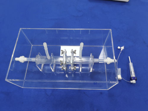 Whole body anatomical model - Trando 3D Medical Technology - training / transparent