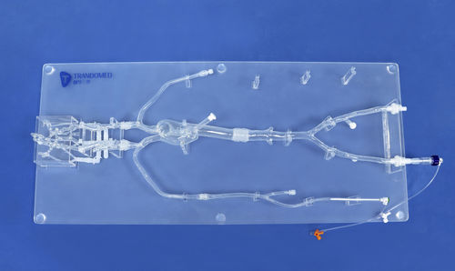 Intracranial anatomical model - SJ001D-09 - Trando 3D Medical Technology - head / artery / femoral artery