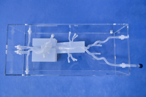 Cardiac anatomical model - XXD020 - Trando 3D Medical Technology - artery / for mini-invasive surgery / training