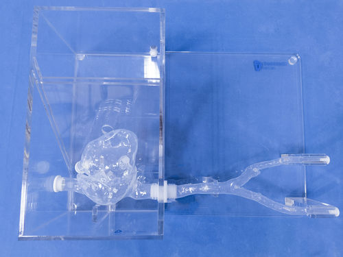 Heart model - XXS017 - Trando 3D Medical Technology - for mini-invasive surgery / training / flexible