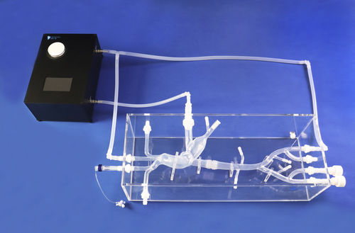 Cardiac anatomical model - XXD022 - Trando 3D Medical Technology - for mini-invasive surgery / training / transparent