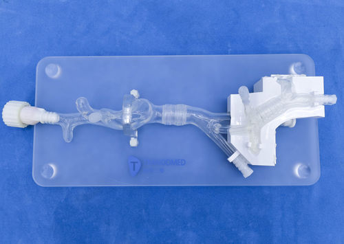 cardiac anatomical model - Trando 3D Medical Technology