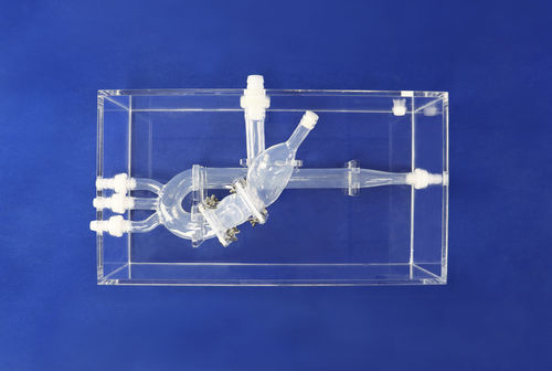 Cardiac anatomical model - XXD015 - Trando 3D Medical Technology - thoracic / for mini-invasive surgery / training
