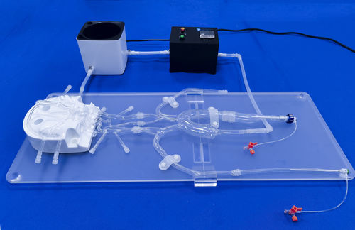 intracranial vascular model - Trando 3D Medical Technology