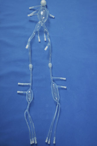 Leg anatomical model - XZ002D - Trando 3D Medical Technology - artery / training / with aneurysm