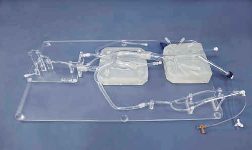 artery model - Trando 3D Medical Technology