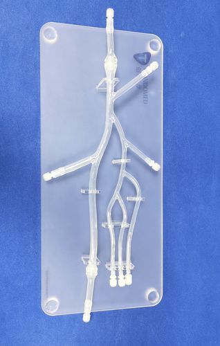 Leg anatomical model - XXD006 - Trando 3D Medical Technology - lower limb / for mini-invasive surgery / training
