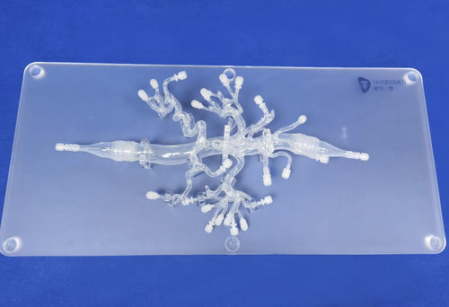 Artery model - FBD019 - Trando 3D Medical Technology - abdominal / for mini-invasive surgery / training
