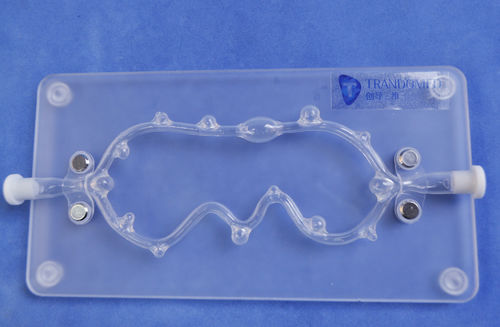Artery model - SJX006 - Trando 3D Medical Technology - blood vessels / training / with aneurysm