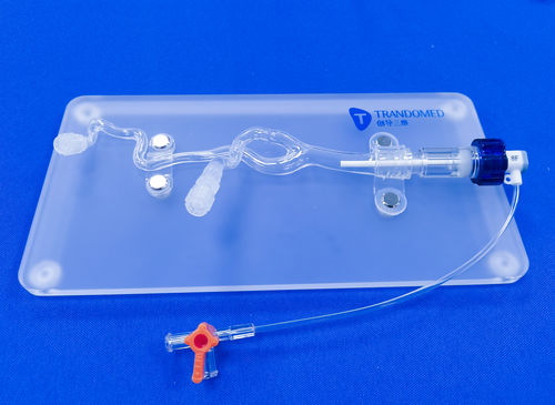 Blood vessels vascular model - SDL004-1 - Trando 3D Medical Technology - intracranial / vascular surgery / training