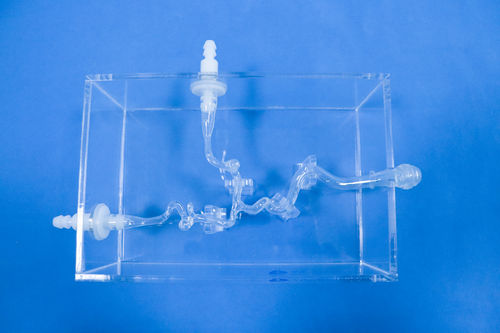Blood vessels vascular model - SDL002 - Trando 3D Medical Technology - cerebral / intracranial / vascular surgery