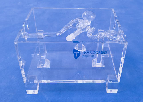Blood vessels vascular model - SDL001-1 - Trando 3D Medical Technology - intracranial / training / with aneurysm