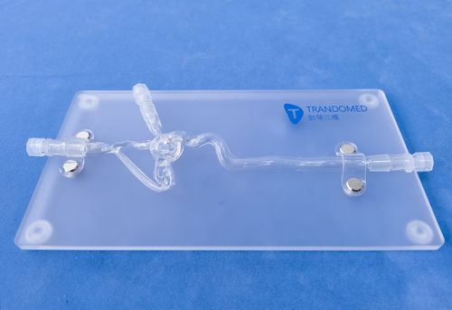 Blood vessels vascular model - JYX001 - Trando 3D Medical Technology - cerebral / intracranial / training