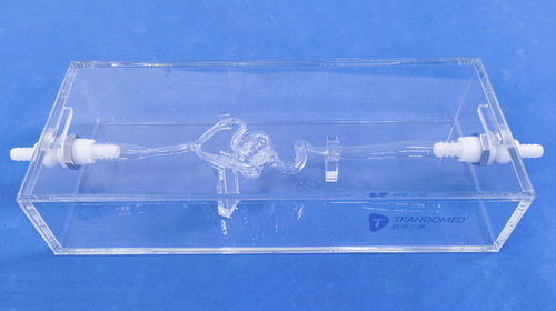 Blood vessels vascular model - SJK003D - Trando 3D Medical Technology - intracranial / training / transparent