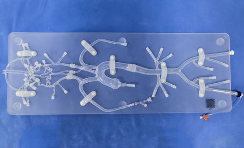 Intracranial anatomical model - SJ001D-06 - Trando 3D Medical Technology - for mini-invasive surgery / neurosurgery / training