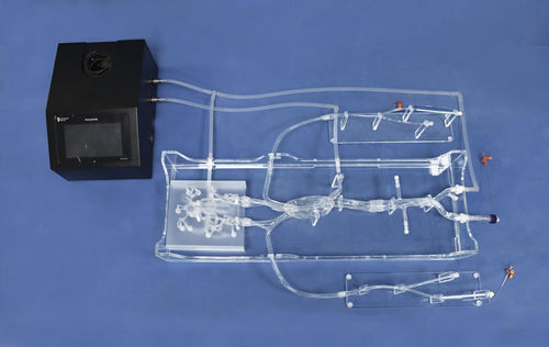 Intracranial anatomical model - SJK001D1 - Trando 3D Medical Technology - artery / carotid artery / for mini-invasive surgery