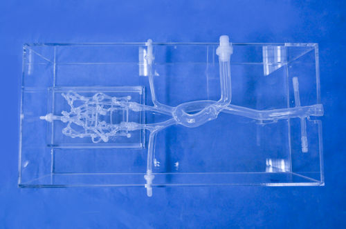 Intracranial vascular model - CM-02 - Trando 3D Medical Technology - blood vessels / carotid artery / training