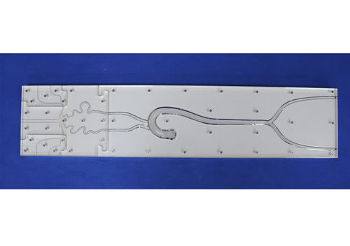 Intracranial anatomical model - SJX003 - Trando 3D Medical Technology - for mini-invasive surgery / training / transparent