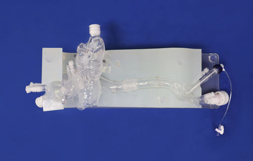 Cardiac vascular model - XXD013 - Trando 3D Medical Technology - blood vessels / for mini-invasive surgery / training