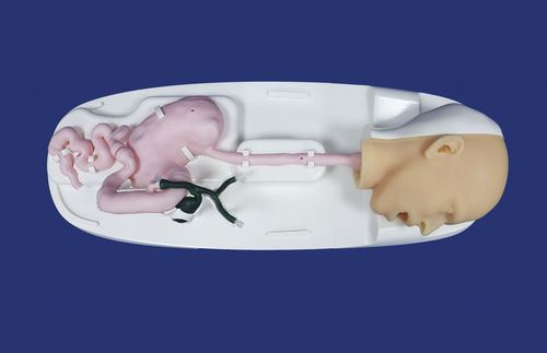 head model - Trando 3D Medical Technology