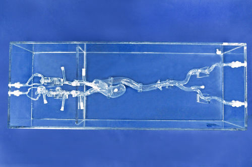 Intracranial vascular model - SJX006-3 - Trando 3D Medical Technology - blood vessels / for mini-invasive surgery / training