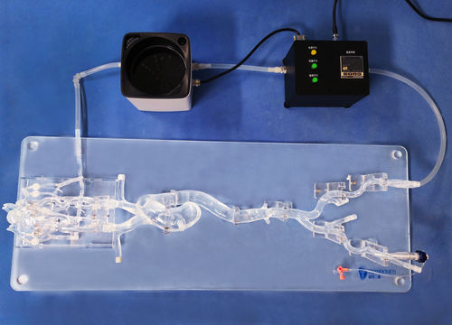 Blood vessels vascular model - SJX006 - Trando 3D Medical Technology - whole body / for mini-invasive surgery / training