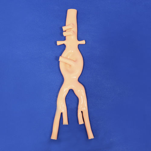 Abdominal model - FBD016 - Trando 3D Medical Technology - blood vessels / training / suture