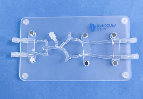 Artery model - SJK009D - Trando 3D Medical Technology - cerebral / nerve / blood vessels