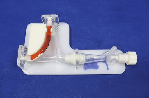 blood vessels vascular model - Trando 3D Medical Technology