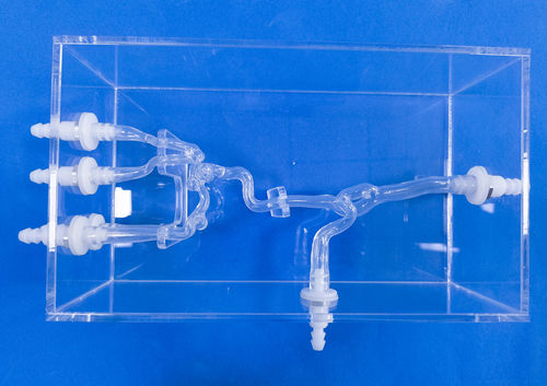 Blood vessels vascular model - SJX007 - Trando 3D Medical Technology - cerebral / intracranial / neurosurgery