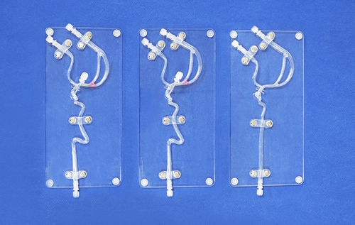 Carotid artery model - SJX005 - Trando 3D Medical Technology - blood vessels / for mini-invasive surgery / neurosurgery