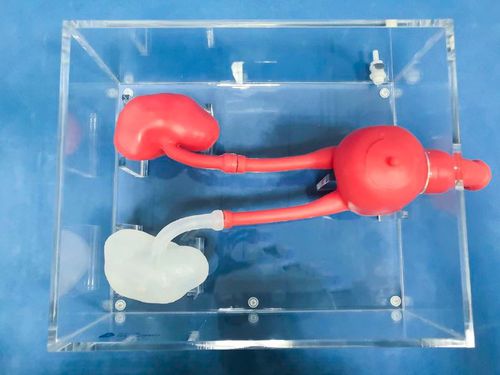 training simulator - Trando 3D Medical Technology
