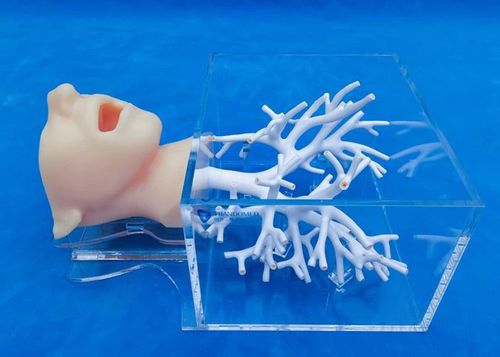 head model - Trando 3D Medical Technology