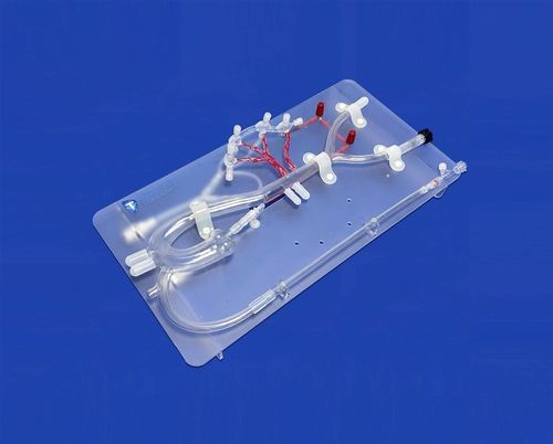 Artery vascular model - FB007D - Trando 3D Medical Technology - kidney / sympathetic nervous system / renal artery