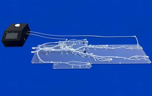 Arterial system vascular model - FAX006D - Trando 3D Medical Technology - blood vessels / artery / whole body