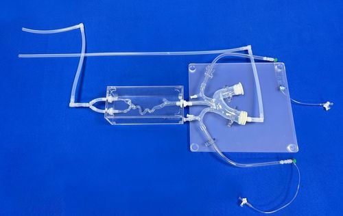 blood vessels vascular model - Trando 3D Medical Technology