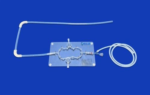 Nervous system vascular model - SJV008 - Trando 3D Medical Technology - brain / cerebral / intracranial