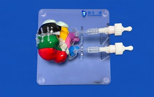 Brain vascular model - SJV020 - Trando 3D Medical Technology - cerebral / brainstem / cerebellum
