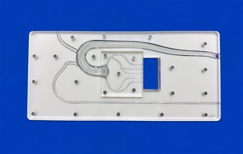 Coronary arteries vascular model - PCI Ⅱ - Trando 3D Medical Technology - radial artery / thoracic aorta / percutaneous coronary intervention