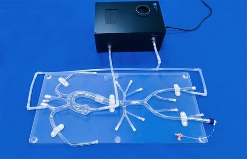 Subclavian artery vascular model - Trando 3D Medical Technology - femoral artery / thoracic aorta / iliac artery