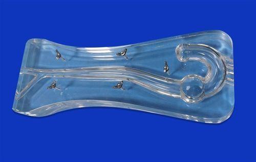 Brachiocephalic trunk vascular model - Aorta Model â£ - Trando 3D Medical Technology - abdominal aorta / descending thoracic aorta / thoracic aorta